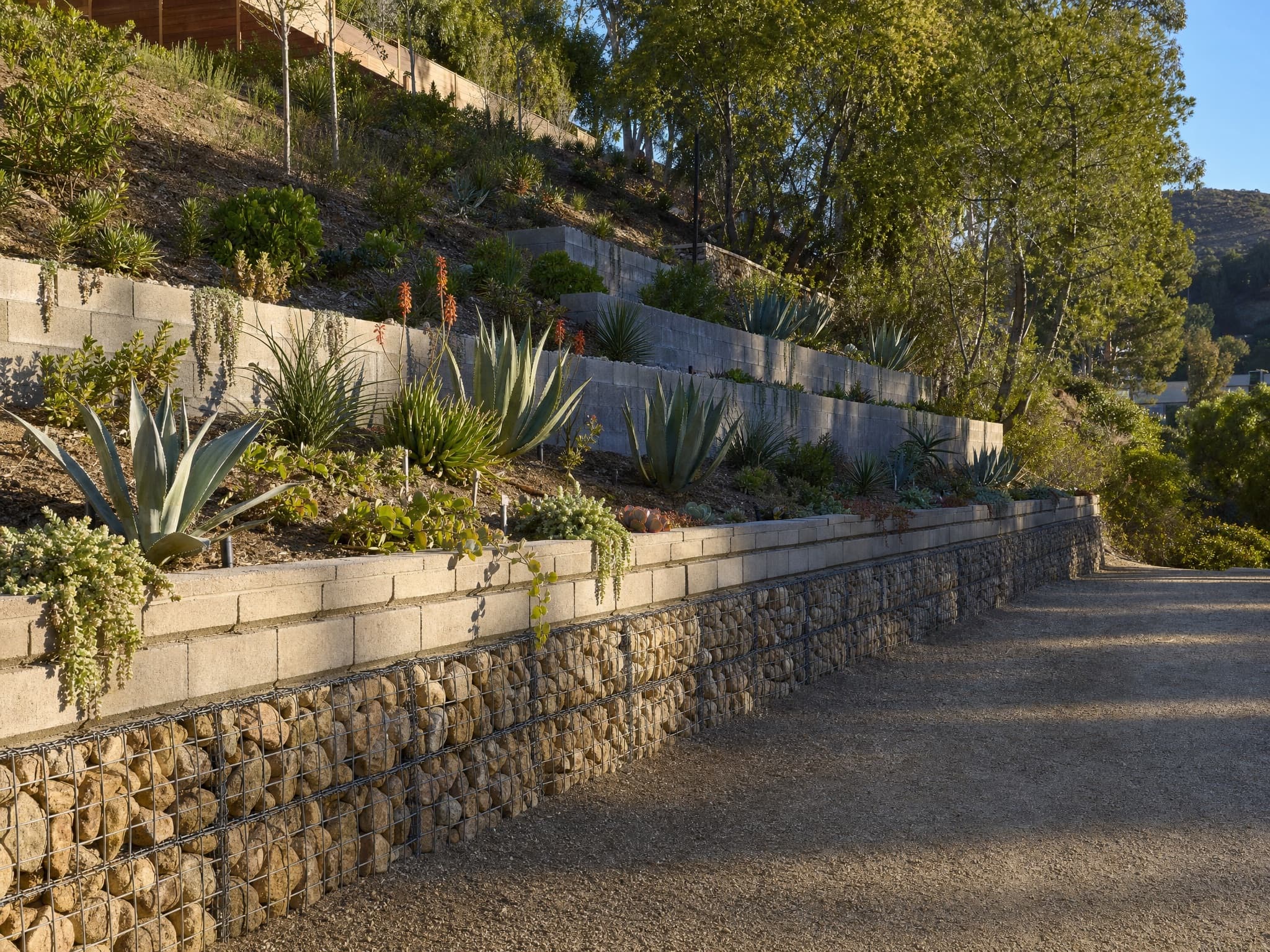 Coastal courtyard in Manhattan Beach with shade sail, horsetail planter wall, and palm views